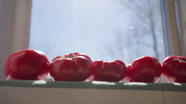 成熟多汁的红色西红柿躺在阳光下的窗台上 滑溜的一声枪响 — 图库视频影像