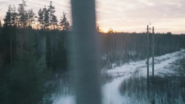 Hareket Eden Bir Trenin Penceresinden Gün Batımında Ormanı Olan Bir — Stok video