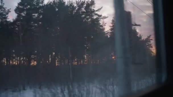 Pohled Okna Dvoukolejného Vlaku Zimní Les Při Západu Slunce Krásnými — Stock video
