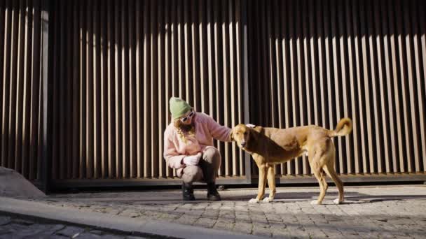 Stylish Woman Tourist Sitting Petting Stray Dog Street Sunny Day — Stock Video