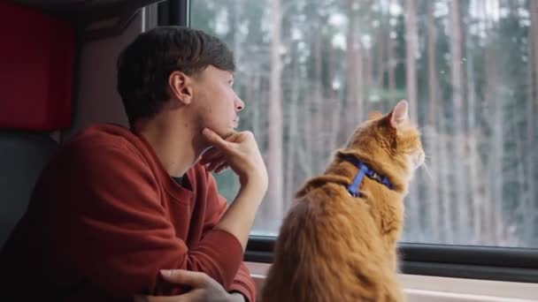 Mężczyzna Jeździ Pociągiem Swoim Rudym Kotem Uwagą Patrzy Przez Okno — Wideo stockowe