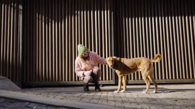 Güneşli bir günde sokakta sokak köpeğini okşayan şık bir turist. Şık bir güneş gözlüğü ve şık bir kürk giyen güzel bir kız tatilinin ve seyahatinin tadını çıkarıyor..