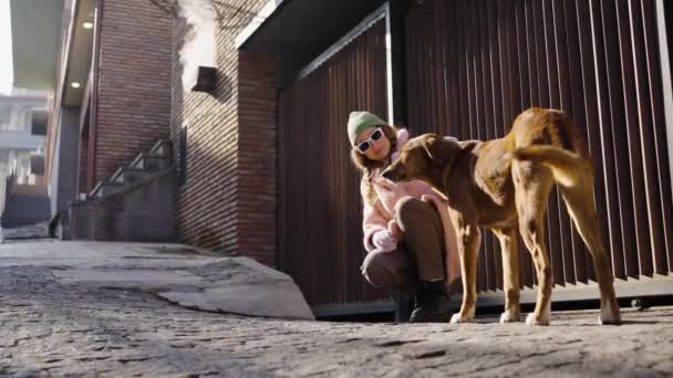 晴れた日にホームレスの通りの生姜犬を屋外でペットに座ってかわいい女性 ボランティアの女の子は涼しい日に無力動物の世話をします — ストック動画