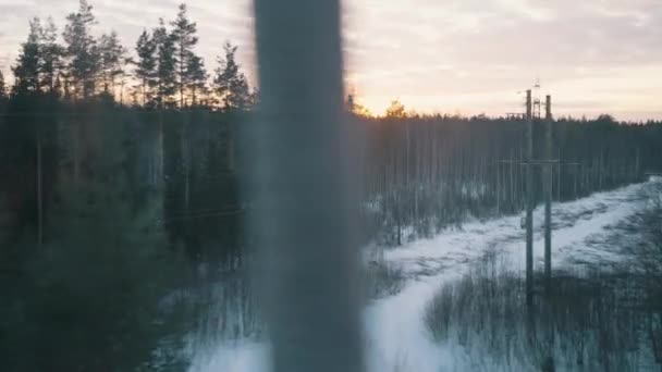 Vue Depuis Fenêtre Train Mouvement Paysage Hivernal Avec Une Forêt — Video