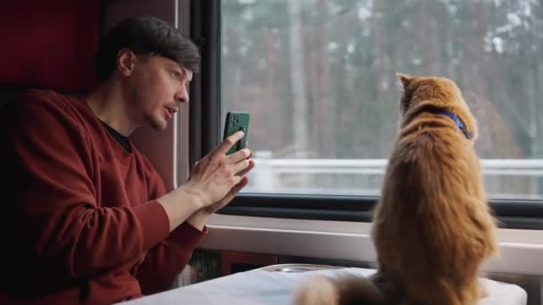 一名男子在旅途中驾驶火车车厢用智能手机相机为社交媒体拍摄他的猫 和宠物一起旅行一只生姜的猫靠着火车的车窗坐着 — 图库视频影像