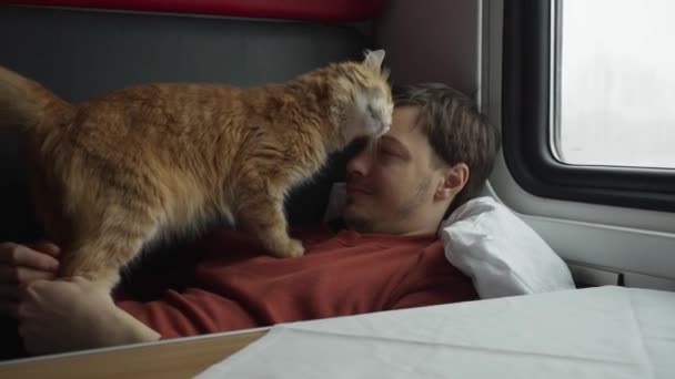Mannen Åker Ett Tåg Ett Fack Med Ingefära Katt Liggande — Stockvideo