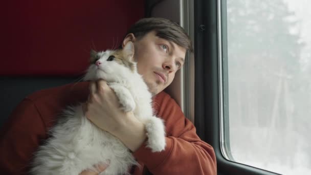一个带着一只白猫的男人坐在火车车厢里 若有所思地看着窗外 与宠物同行 — 图库视频影像