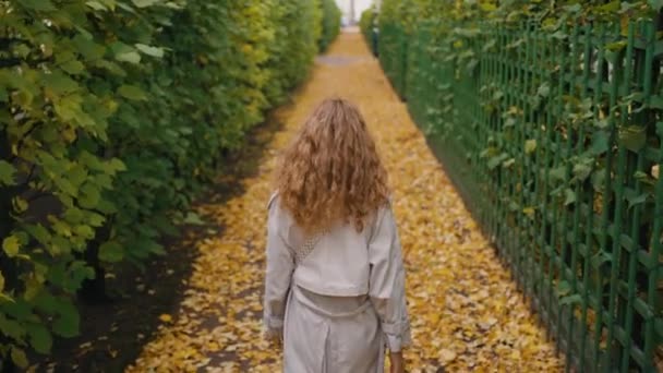 Woman Raincoat Walks Alley Park Strewn Yellow Autumn Leaves Rear — Stock Video