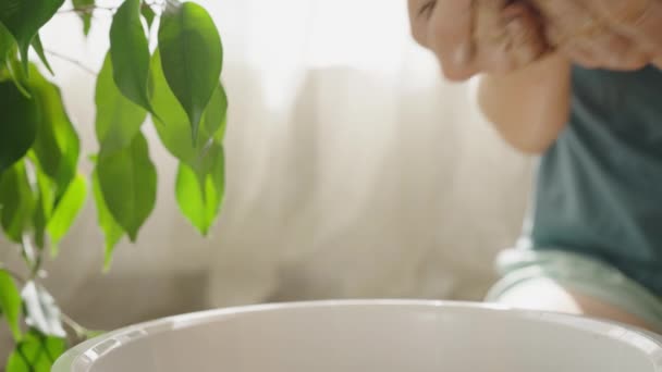 女人用她赤手空拳的手小心地把土倒进锅里 园艺师移植了一种本杰明膜植物 在阳光充足的房间的窗户背景下 在家中准备土壤 — 图库视频影像