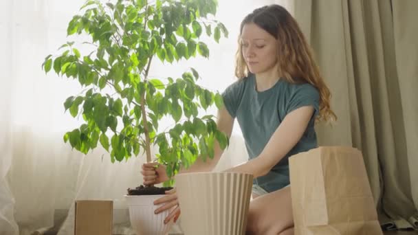 Fiatal Beültet Egy Szobanövényt Egy Nagy Edénybe Miközben Ház Padlóján — Stock videók