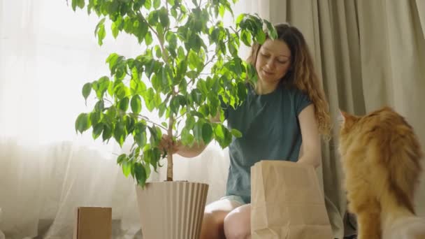 Una Donna Riempie Vaso Con Una Pianta Terra Con Mani — Video Stock