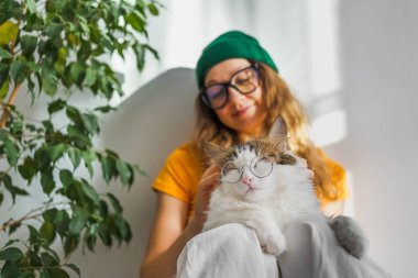 Gözlüklü sevimli bir kedi güneşli bir günde evcil hayvan sahibinin kucağında yeşil çiçekli beyaz bir duvara karşı oturuyor. Tarz sahibi bir kadın, sevgili beyaz kedisini yerde otururken okşar..