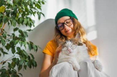 Gözlüklü sevimli bir kedi güneşli bir günde evcil hayvan sahibinin kucağında yeşil çiçekli beyaz bir duvara karşı oturuyor. Tarz sahibi bir kadın, sevgili beyaz kedisini yerde otururken okşar..