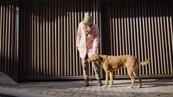在狭窄的街道上 戴着太阳镜的时尚时髦女人在一个金属门的后面抚摸着一只迷途的红狗 和你的宠物一起散步 — 图库视频影像