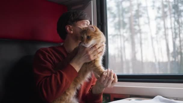 Seorang Pria Perjalanan Dengan Kucing Jahe Nya Kereta Kereta Kompartemen — Stok Video
