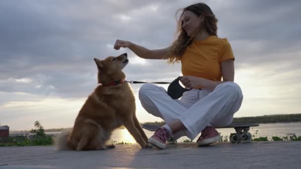 一个女人坐在滑板上训练一只红狗 用甜食招待它 并让它服从命令 日落与你的宠物散步 — 图库视频影像