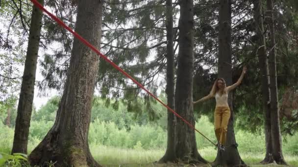 Ung Kvinna Balanserar Försiktigt Slackline Upphängd Mellan Två Tallar Fridfull — Stockvideo