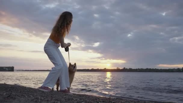 Frau Wirft Kieselsteine Den Fluss Während Sie Mit Rotem Hund — Stockvideo