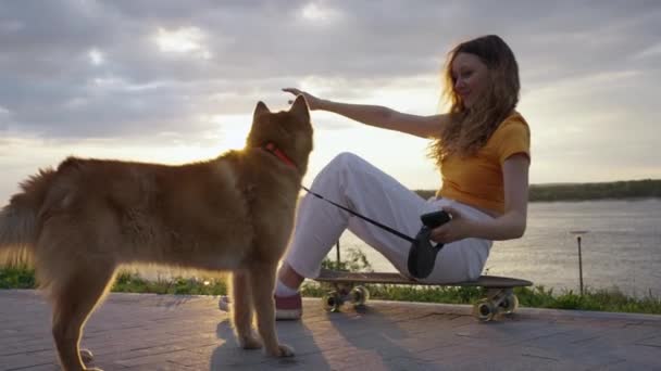 Właściciel Zwierzęcia Trenuje Swojego Psa Siedzącego Nasypie Latem Zachodzie Słońca — Wideo stockowe