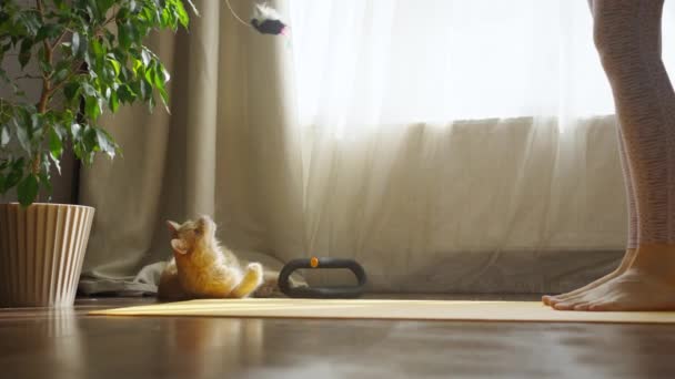 Женщина Играет Домашней Красной Кошкой Спортивном Коврике Перед Окном Замедленной — стоковое видео