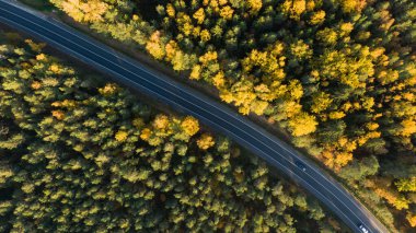 Hava görüntüsü, canlı bir sonbahar ormanının içinden geçen bir yol boyunca giden araçlarla manzaralı bir sürüş yakalıyor. Renkli yapraklara karşı koyu asfaltın kontrastı çarpıcı.. 