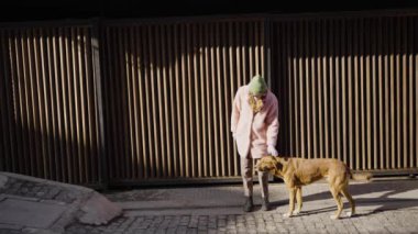 Sadık kıyafetli bir kadın, uzun gölgeler bırakarak, sadık köpekleri ile güneşli bir sabah yürüyüşünden zevk alıyor. Dişi bir evcil hayvan sahibi, dar, güneşli bir sokakta duran kırmızı bir köpeği okşar.