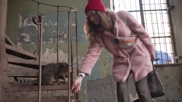 在一座废弃的大楼里 一位穿着时髦的女人正在喂一只流浪猫 一个温柔的时刻 一个女人伸出手去喂一只流浪的猫 在一座废弃的房子里 它的美丽在腐烂 — 图库视频影像