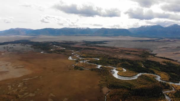 Luftaufnahme Eines Mäandernden Flusses Der Sich Durch Eine Riesige Herbstliche — Stockvideo