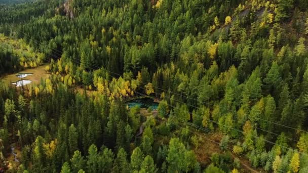空中的景色捕捉了秋天的绚丽色彩 它们环绕着密林中清澈的间歇泉 这是一个让游客欣赏风景的自然奇观 — 图库视频影像