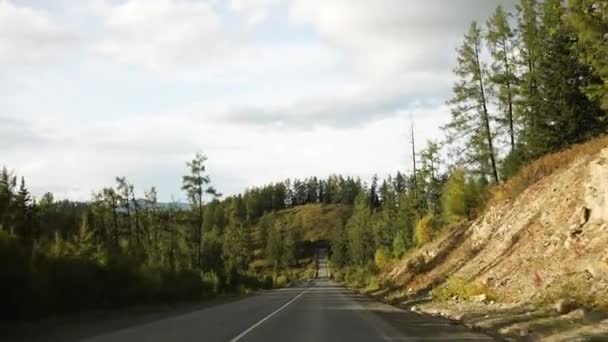 Passeio Panorâmico Pelas Colinas Exuberantes Arborizadas Com Uma Estrada Desaparecendo — Vídeo de Stock