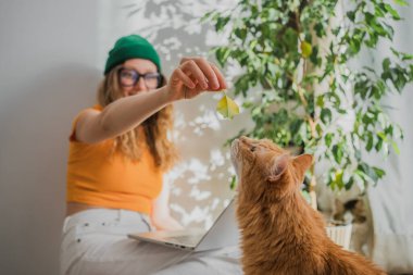 Ev Bitkisi 'nin dizüstü bilgisayardan uzaklaştırdığı bir kadınla Playful Orange Cat. Neşeli bir kadın kızıl kedisiyle meşgul oluyor, ışık dolu bir odada bir yaprak sallıyor, bir anlık bir bağlantı yakalıyor.