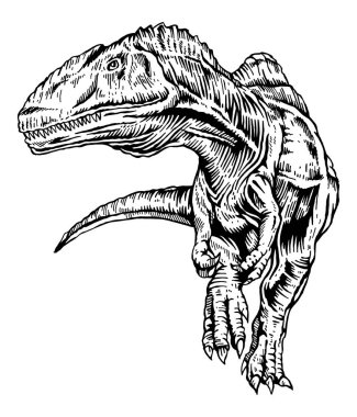Velociraptor yürüyüşünün vektör el çizimi.