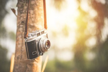 Vintage film camera hanging on a tree in the forest. Travel concept