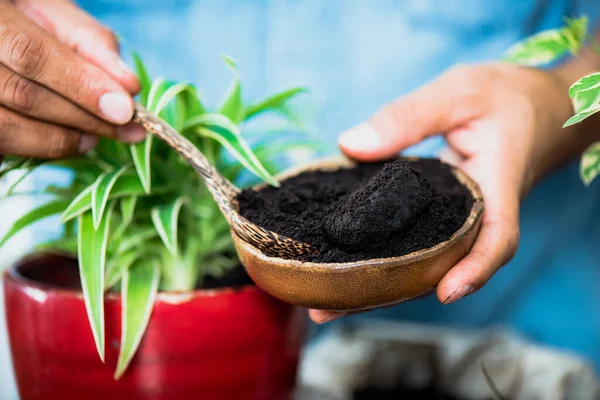 Recycle Used Coffee Grounds Using Used Coffee Grounds Fertilizer — Stock Photo, Image