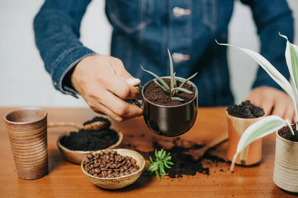 Riciclare Fondi Caffè Usati Utilizzando Fondi Caffè Usati Come Fertilizzante — Foto Stock