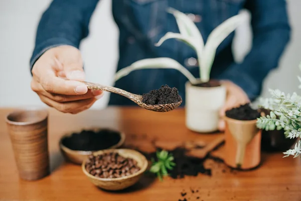 Recycle Used Coffee Grounds Using Used Coffee Grounds Fertilizer — Φωτογραφία Αρχείου