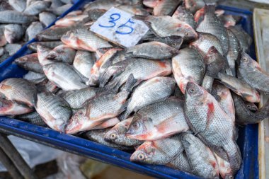 Tayland 'daki yerel pazarda taze çiğ balık satılıyor..
