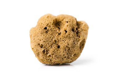 İnce ipek doğal banyo yapan deniz maketi beyaz arka planda izole edilmiş. Bebekler için banyo süngeri.