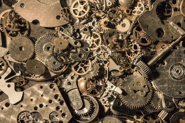 Mechanische Horloge Reparatie Concept Sluiten Van Onderdelen Van Mechanische Polshorloge — Stockfoto
