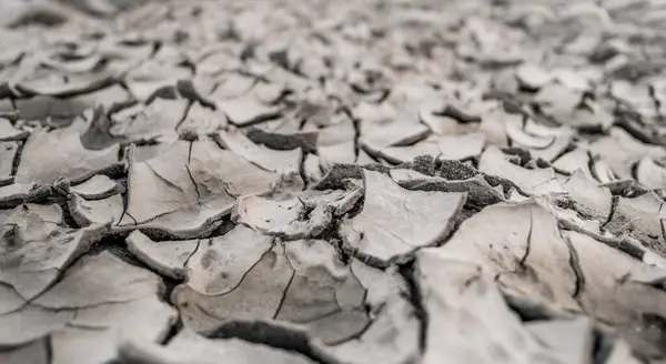 stock image closeup dry cray, soil drought with cracked ground. Texture for graphic resource.