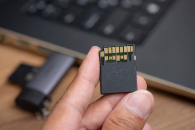 USH-II arayüzü olan SD hafıza kartı, kamera ve bilgisayar gibi elektronik aygıtlar için depolama. 