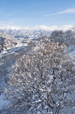 Beautiful view in winter season in Gala Yuzawa, Niigata, Japan. clipart