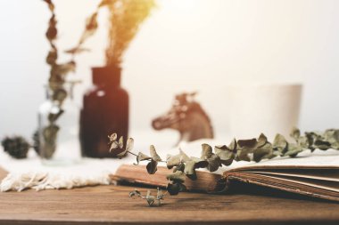 Kurumuş okaliptüs dalları ve yaprakları masanın üzerinde..
