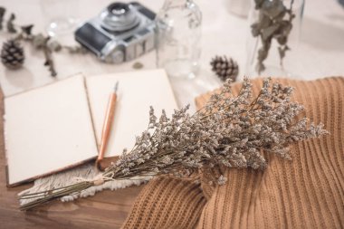 Kurutulmuş Hazar çiçekleri odada süslenmiş. Ev dekorasyonu kavramı.