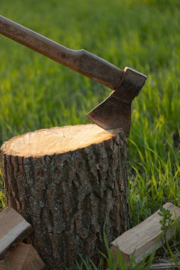 Akşam ışığında çimlerin üzerinde baltayla saplanmış bir balta.