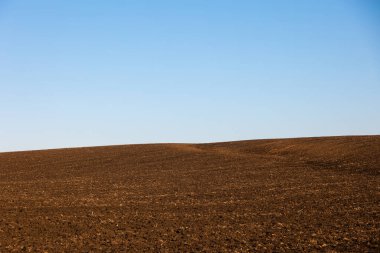 Mavi gökyüzünün altında çıplak tarla