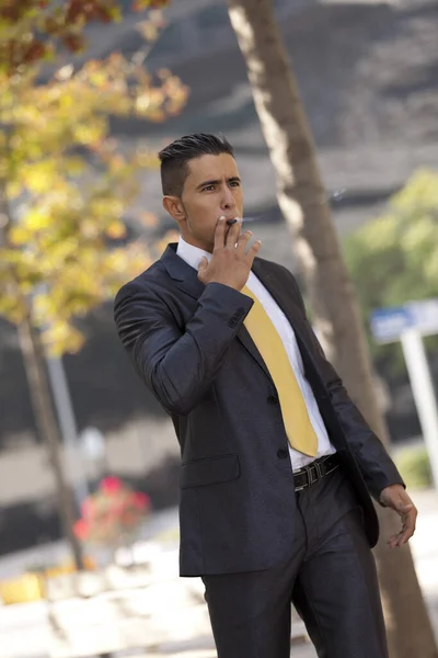 Geschäftsmann Raucht Zigarre Sich Entspannen Stockbild