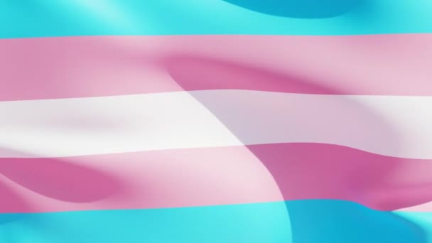 Трансгендерний Прапор Махає Вітровому Синьому Рожевому Білому Кольорах Безшовне Відео — стокове відео