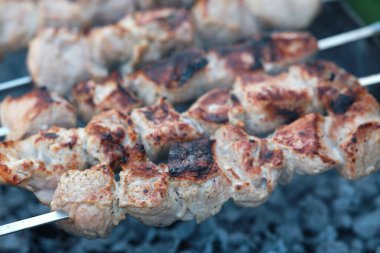 Izgara domuz eti pişirip kömür tüttürüyorum. Izgarada şiş kebap.