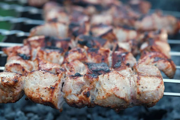 Cooking barbecue pork meat on smoking coals. Shish kebab on the grill.